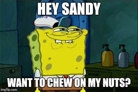 Don't You Squidward | HEY SANDY WANT TO CHEW ON MY NUTS? | image tagged in memes | made w/ Imgflip meme maker