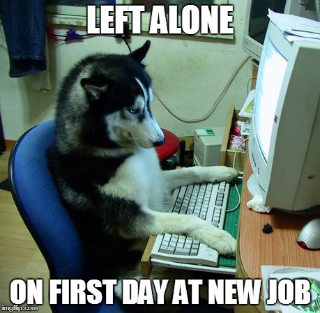 I Have No Idea What I Am Doing | LEFT ALONE ON FIRST DAY AT NEW JOB | image tagged in memes,i have no idea what i am doing | made w/ Imgflip meme maker