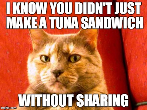 Suspicious Cat Meme | I KNOW YOU DIDN'T JUST MAKE A TUNA SANDWICH WITHOUT SHARING | image tagged in memes,suspicious cat | made w/ Imgflip meme maker