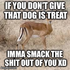 U need money impala | IF YOU DON'T GIVE THAT DOG IS TREAT IMMA SMACK THE SHIT OUT OF YOU XD | image tagged in u need money impala | made w/ Imgflip meme maker