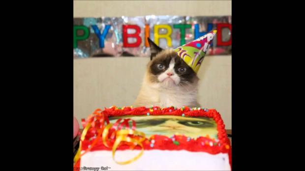 High Quality grumpy cat birthday Blank Meme Template