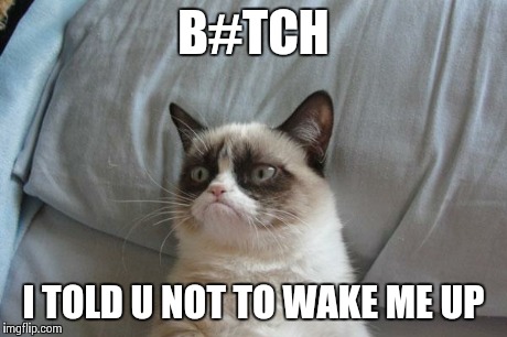 Grumpy Cat Bed | B#TCH I TOLD U NOT TO WAKE ME UP | image tagged in memes,grumpy cat bed,grumpy cat | made w/ Imgflip meme maker
