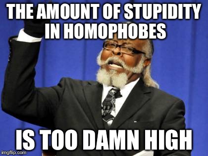 Too Damn High | THE AMOUNT OF STUPIDITY IN HOMOPHOBES IS TOO DAMN HIGH | image tagged in memes,too damn high | made w/ Imgflip meme maker