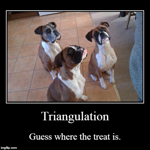 Triangulation | image tagged in funny,demotivationals,dog,boxer | made w/ Imgflip demotivational maker