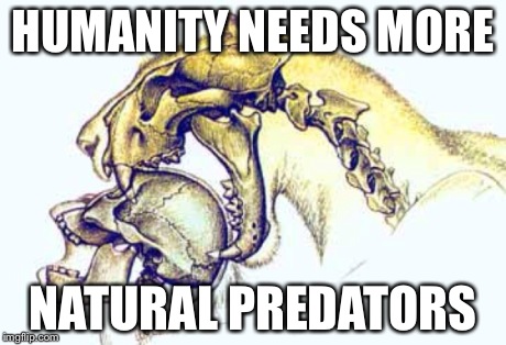 HUMANITY NEEDS MORE NATURAL PREDATORS | image tagged in predator | made w/ Imgflip meme maker