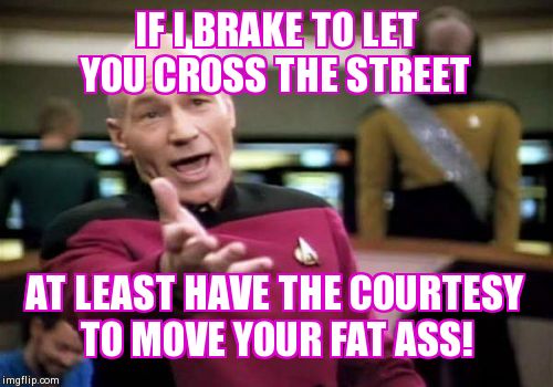 Picard Wtf Meme | IF I BRAKE TO LET YOU CROSS THE STREET AT LEAST HAVE THE COURTESY TO MOVE YOUR FAT ASS! | image tagged in memes,picard wtf | made w/ Imgflip meme maker