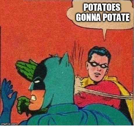 robin strikes back | POTATOES GONNA POTATE | image tagged in robin strikes back | made w/ Imgflip meme maker