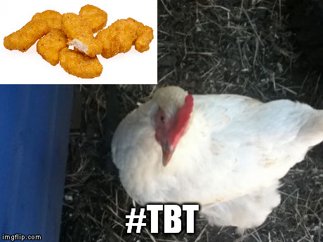 Angry Chicken Boss | #TBT | image tagged in memes,angry chicken boss | made w/ Imgflip meme maker