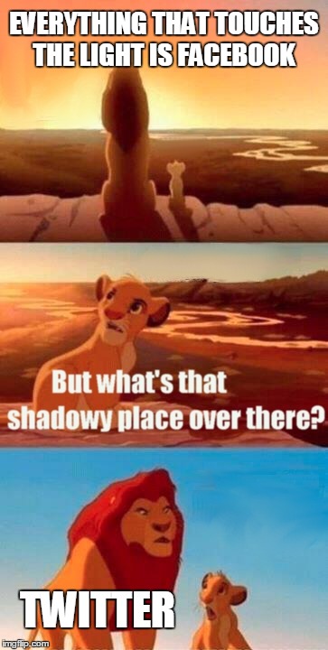 Simba Shadowy Place | EVERYTHING THAT TOUCHES THE LIGHT IS FACEBOOK TWITTER | image tagged in memes,simba shadowy place | made w/ Imgflip meme maker