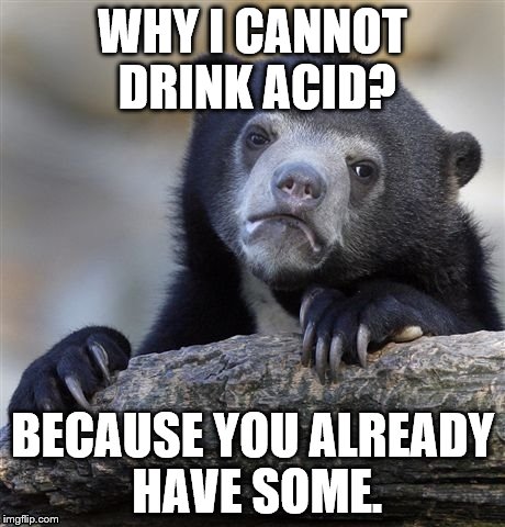 Confession Bear Meme | WHY I CANNOT DRINK ACID? BECAUSE YOU ALREADY HAVE SOME. | image tagged in memes,confession bear | made w/ Imgflip meme maker