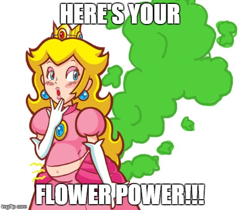 HERE'S YOUR FLOWER POWER!!! | image tagged in fart,farting,super mario,funny memes,funny,funny meme | made w/ Imgflip meme maker