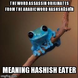 Fun Fact Frog | THE WORD ASSASSIN ORIGINATES FROM THE ARABIC WORD HASHSHĀSHĪN MEANING HASHISH EATER | image tagged in fun fact frog,AdviceAnimals | made w/ Imgflip meme maker
