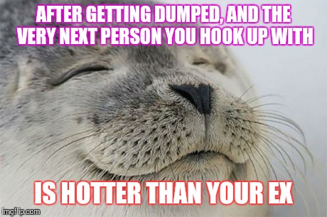 Satisfied Seal | AFTER GETTING DUMPED, AND THE VERY NEXT PERSON YOU HOOK UP WITH IS HOTTER THAN YOUR EX | image tagged in memes,satisfied seal | made w/ Imgflip meme maker