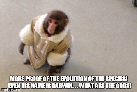 Evolution | MORE PROOF OF THE EVOLUTION OF THE SPECIES!  EVEN HIS NAME IS DARWIN. . . WHAT ARE THE ODDS! | image tagged in darwin | made w/ Imgflip meme maker