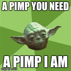 Advice Yoda | A PIMP YOU NEED A PIMP I AM | image tagged in memes,advice yoda | made w/ Imgflip meme maker