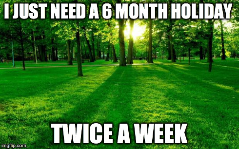 Grass and trees | I JUST NEED A 6 MONTH HOLIDAY TWICE A WEEK | image tagged in grass and trees | made w/ Imgflip meme maker
