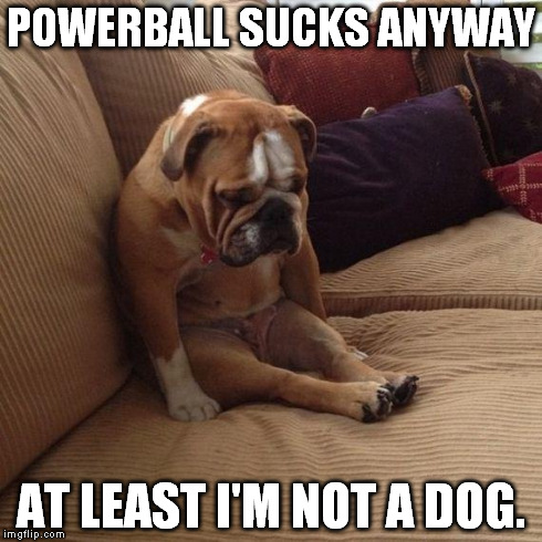 Powerball | POWERBALL SUCKS ANYWAY AT LEAST I'M NOT A DOG. | image tagged in sad dog,powerball | made w/ Imgflip meme maker