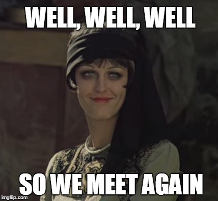 WELL, WELL, WELL SO WE MEET AGAIN | image tagged in sagacious lady | made w/ Imgflip meme maker
