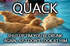 QUACK SHUT UP TIM YOU'RE DRUNK AGAIN, JUST DON'T LOOK AT HIM | image tagged in memes | made w/ Imgflip meme maker