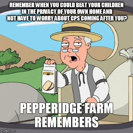 Pepperidge Farm Remembers | REMEMBER WHEN YOU COULD BEAT YOUR CHILDREN IN THE PRIVACY OF YOUR OWN HOME AND NOT HAVE TO WORRY ABOUT CPS COMING AFTER YOU? PEPPERIDGE FARM | image tagged in memes,pepperidge farm remembers | made w/ Imgflip meme maker