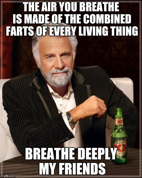 The Most Interesting Man In The World Meme | THE AIR YOU BREATHE IS MADE OF THE COMBINED FARTS OF EVERY LIVING THING BREATHE DEEPLY MY FRIENDS | image tagged in memes,the most interesting man in the world | made w/ Imgflip meme maker