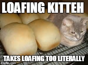 Loafing Kitteh | LOAFING KITTEH TAKES LOAFING TOO LITERALLY | image tagged in cats,funny cats | made w/ Imgflip meme maker