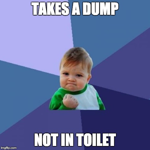 Success Kid | TAKES A DUMP NOT IN TOILET | image tagged in memes,success kid | made w/ Imgflip meme maker