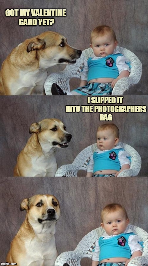 Dad Joke Dog | GOT MY VALENTINE CARD YET? I SLIPPED IT INTO THE PHOTOGRAPHERS BAG | image tagged in memes,dad joke dog | made w/ Imgflip meme maker