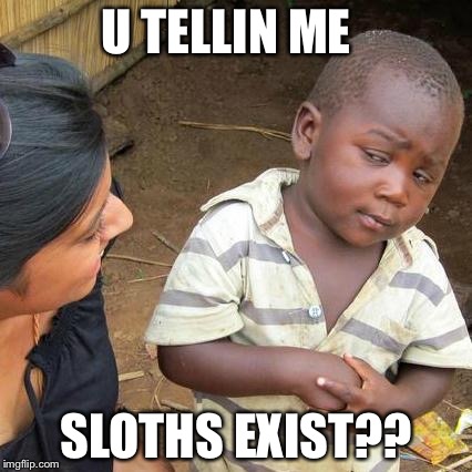 Third World Skeptical Kid | U TELLIN ME SLOTHS EXIST?? | image tagged in memes,third world skeptical kid | made w/ Imgflip meme maker