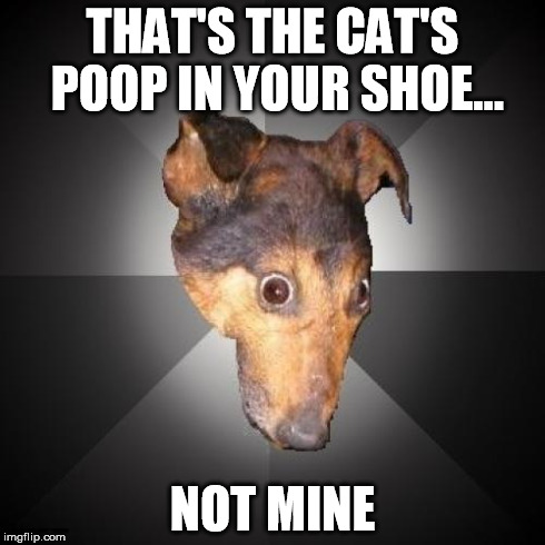 Depression Dog | THAT'S THE CAT'S POOP IN YOUR SHOE... NOT MINE | image tagged in memes,depression dog | made w/ Imgflip meme maker