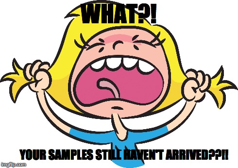 Woman pulling hair out | WHAT?! YOUR SAMPLES STILL HAVEN'T ARRIVED??!! | image tagged in frustration,mail delays | made w/ Imgflip meme maker