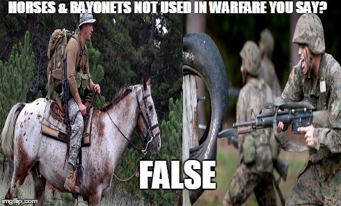 horses and bayonets | HORSES & BAYONETS NOT USED IN WARFAREYOU SAY? FALSE | image tagged in political,funny | made w/ Imgflip meme maker