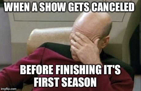 Captain Picard Facepalm | WHEN A SHOW GETS CANCELED BEFORE FINISHING IT'S FIRST SEASON | image tagged in memes,captain picard facepalm | made w/ Imgflip meme maker