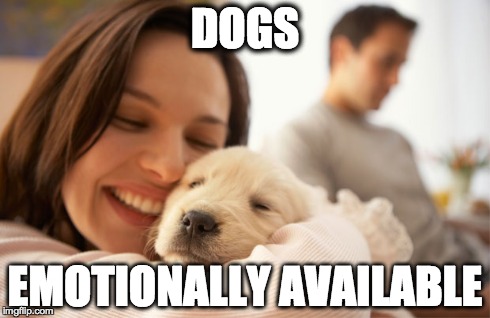 DOGS EMOTIONALLY AVAILABLE | image tagged in dogs | made w/ Imgflip meme maker