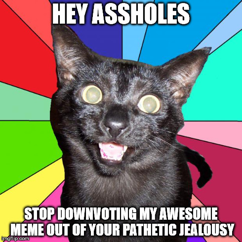 hey assholes | HEY ASSHOLES STOP DOWNVOTING MY AWESOME MEME OUT OF YOUR PATHETIC JEALOUSY | image tagged in hey you cat byron,memes,jealous | made w/ Imgflip meme maker