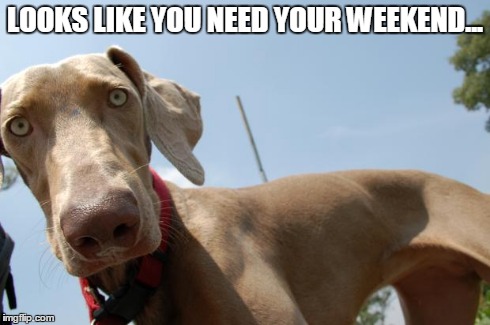 Hello! | LOOKS LIKE YOU NEED YOUR WEEKEND... | image tagged in hello | made w/ Imgflip meme maker