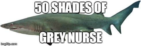 50 SHADES OF GREY NURSE | image tagged in 50 shades | made w/ Imgflip meme maker