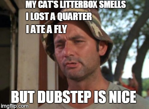 it's the little things | MY CAT'S LITTERBOX SMELLS BUT DUBSTEP IS NICE I LOST A QUARTER I ATE A FLY | image tagged in memes,so i got that goin for me which is nice | made w/ Imgflip meme maker