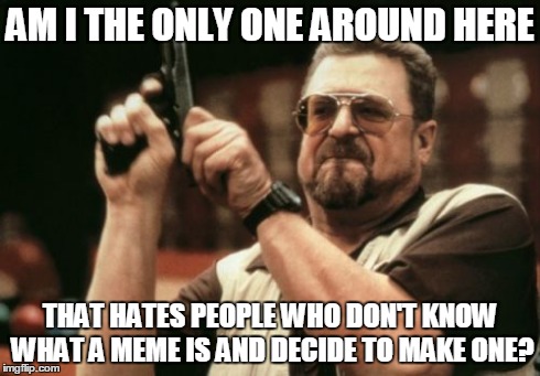 Am I The Only One Around Here Meme | AM I THE ONLY ONE AROUND HERE THAT HATES PEOPLE WHO DON'T KNOW WHAT A MEME IS AND DECIDE TO MAKE ONE? | image tagged in memes,am i the only one around here | made w/ Imgflip meme maker