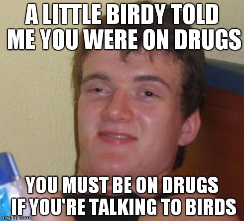 10 Guy | A LITTLE BIRDY TOLD ME YOU WERE ON DRUGS YOU MUST BE ON DRUGS IF YOU'RE TALKING TO BIRDS | image tagged in memes,10 guy | made w/ Imgflip meme maker