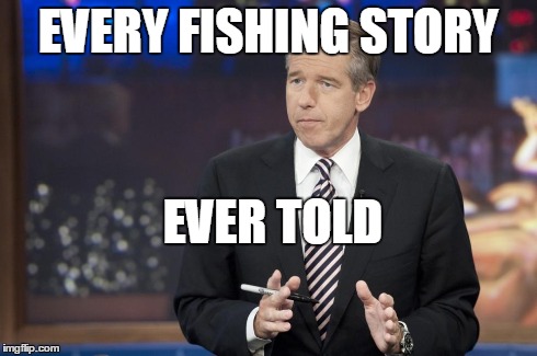 Brian Fishing | EVERY FISHING STORY EVER TOLD | image tagged in fishing,brianwilliams | made w/ Imgflip meme maker