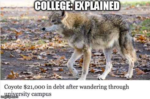 college coyote | COLLEGE: EXPLAINED | image tagged in college,college debt,debt,coyote,animal | made w/ Imgflip meme maker