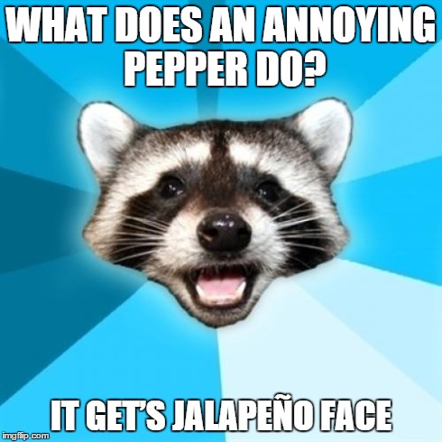 Lame Pun Coon Meme | WHAT DOES AN ANNOYING PEPPER DO? IT GET’S JALAPEÑO FACE | image tagged in memes,lame pun coon | made w/ Imgflip meme maker
