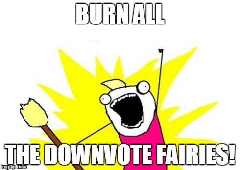 X All The Y Meme | BURN ALL THE DOWNVOTE FAIRIES! | image tagged in memes,x all the y | made w/ Imgflip meme maker