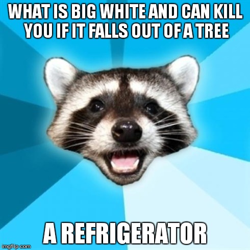 Lame Pun Coon | WHAT IS BIG WHITE AND CAN KILL YOU IF IT FALLS OUT OF A TREE A REFRIGERATOR | image tagged in memes,lame pun coon | made w/ Imgflip meme maker