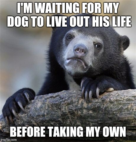 Confession Bear | I'M WAITING FOR MY DOG TO LIVE OUT HIS LIFE BEFORE TAKING MY OWN | image tagged in memes,confession bear,AdviceAnimals | made w/ Imgflip meme maker