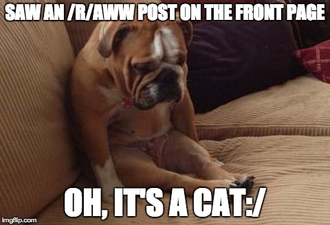 sad dog | SAW AN /R/AWW POST ON THE FRONT PAGE OH, IT'S A CAT:/ | image tagged in sad dog | made w/ Imgflip meme maker