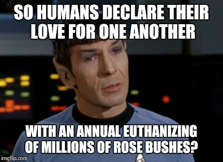 Spock Illogical | SO HUMANS DECLARE THEIR LOVE FOR ONE ANOTHER WITH AN ANNUAL EUTHANIZING OF MILLIONS OF ROSE BUSHES? | image tagged in spock illogical | made w/ Imgflip meme maker