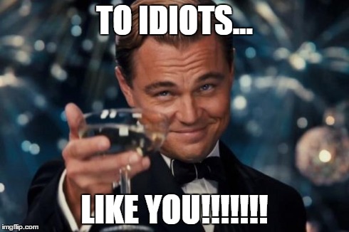 Leonardo Dicaprio Cheers | TO IDIOTS... LIKE YOU!!!!!!! | image tagged in memes,leonardo dicaprio cheers | made w/ Imgflip meme maker