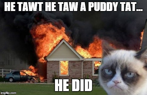 Burn Kitty | HE TAWT HE TAW A PUDDY TAT... HE DID | image tagged in memes,burn kitty | made w/ Imgflip meme maker